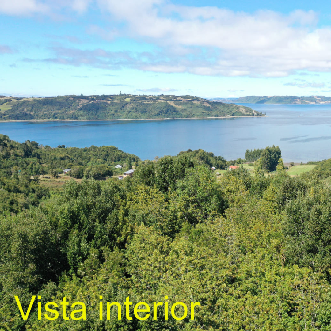 Se vende propiedad en sector san José, Comuna de Castro