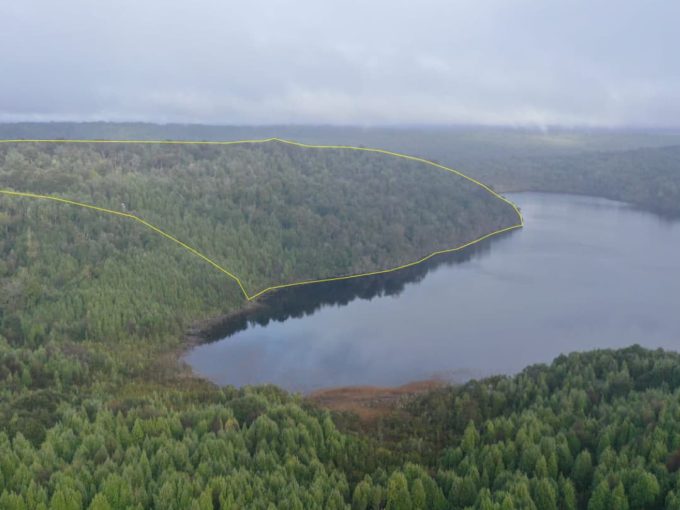 Venta Exclusiva: 7 Razones para Invertir en Propiedad de 66.27 Has en Pureo, Queilen, Chiloé 🌲🏞️