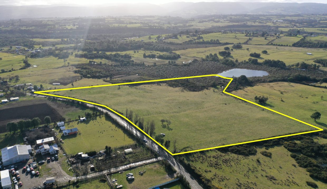 Terreno 6.5 has ubicadas sector camino a Notué Chonchi Chiloé