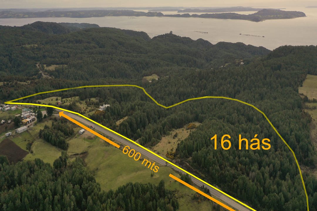 🌊🏔️ ¡GRAN OPORTUNIDAD EN TERAO! 16 HECTÁREAS CON VISTAS AL MAR Y CORDILLERA - $250.000.000 🏔️🌊