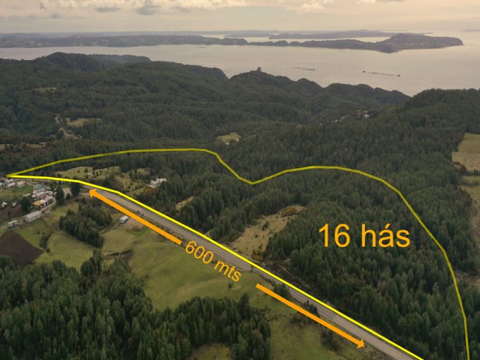 🌊🏔️ ¡GRAN OPORTUNIDAD EN TERAO! 16 HECTÁREAS CON VISTAS AL MAR Y CORDILLERA - $250.000.000 🏔️🌊