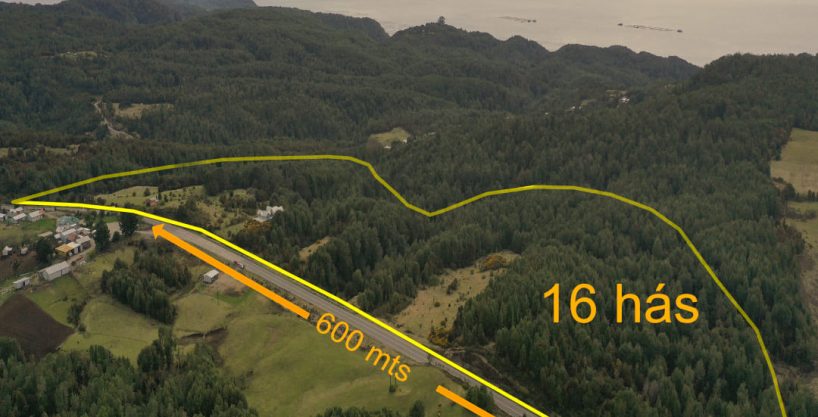 🌊🏔️ ¡GRAN OPORTUNIDAD EN TERAO! 16 HECTÁREAS CON VISTAS AL MAR Y CORDILLERA - $250.000.000 🏔️🌊