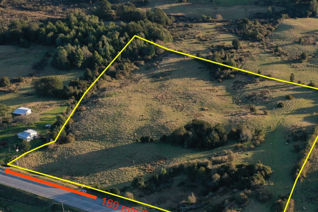 🚀🌿 ¡INVERSIÓN ESTRATÉGICA EN TARA! 3.77 HECTÁREAS CON 160m FRENTE A RUTA 5 🌿🚀