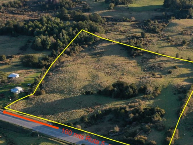 🚀🌿 ¡INVERSIÓN ESTRATÉGICA EN TARA! 3.77 HECTÁREAS CON 160m FRENTE A RUTA 5 🌿🚀