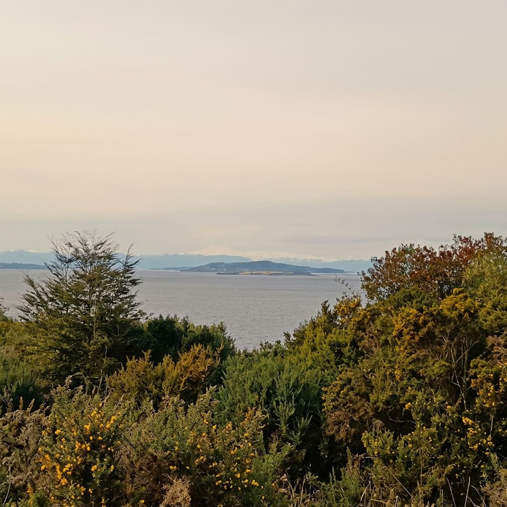 Foto 15