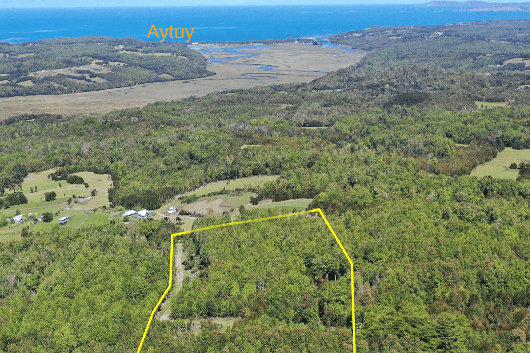 ¡Venta de Propiedad con Vista Imponente en Lelbún, Queilen! 🏞️✨
