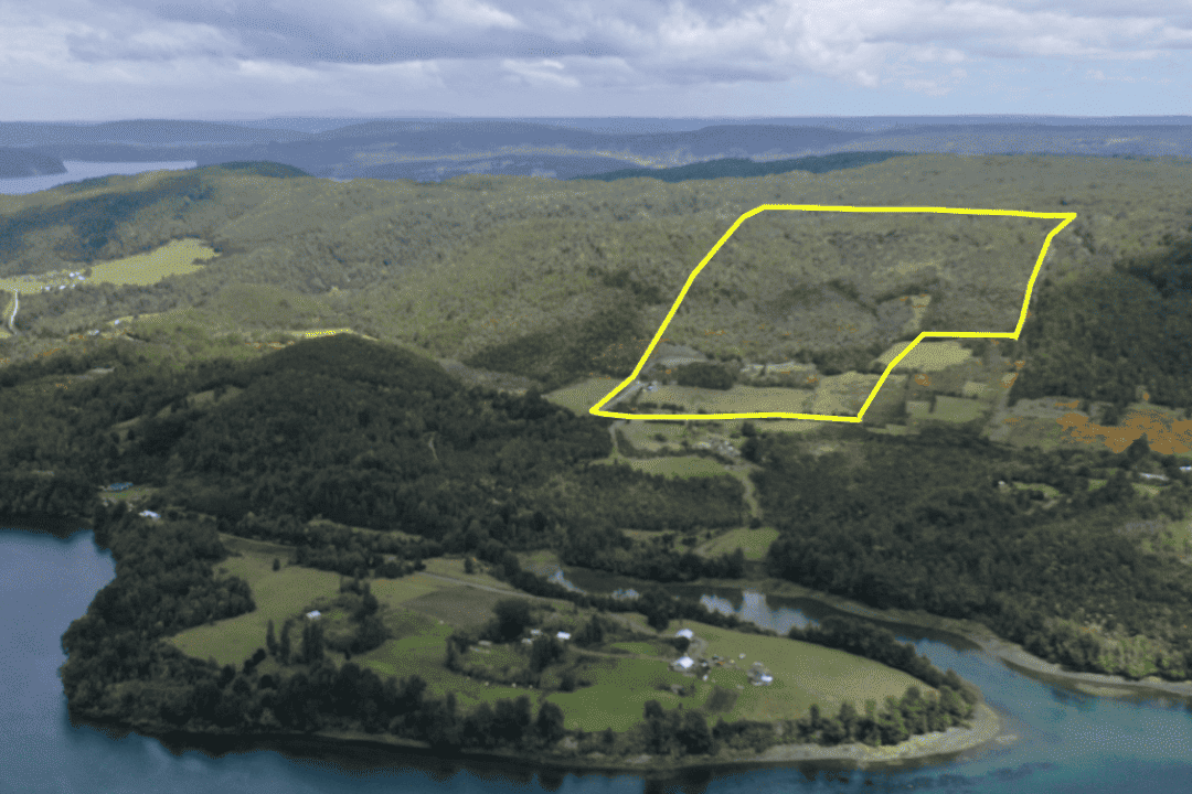 ¡Propiedad en Venta Paildad, Queilen – Perfecta para Proyecto en Chiloé! 🌳✨