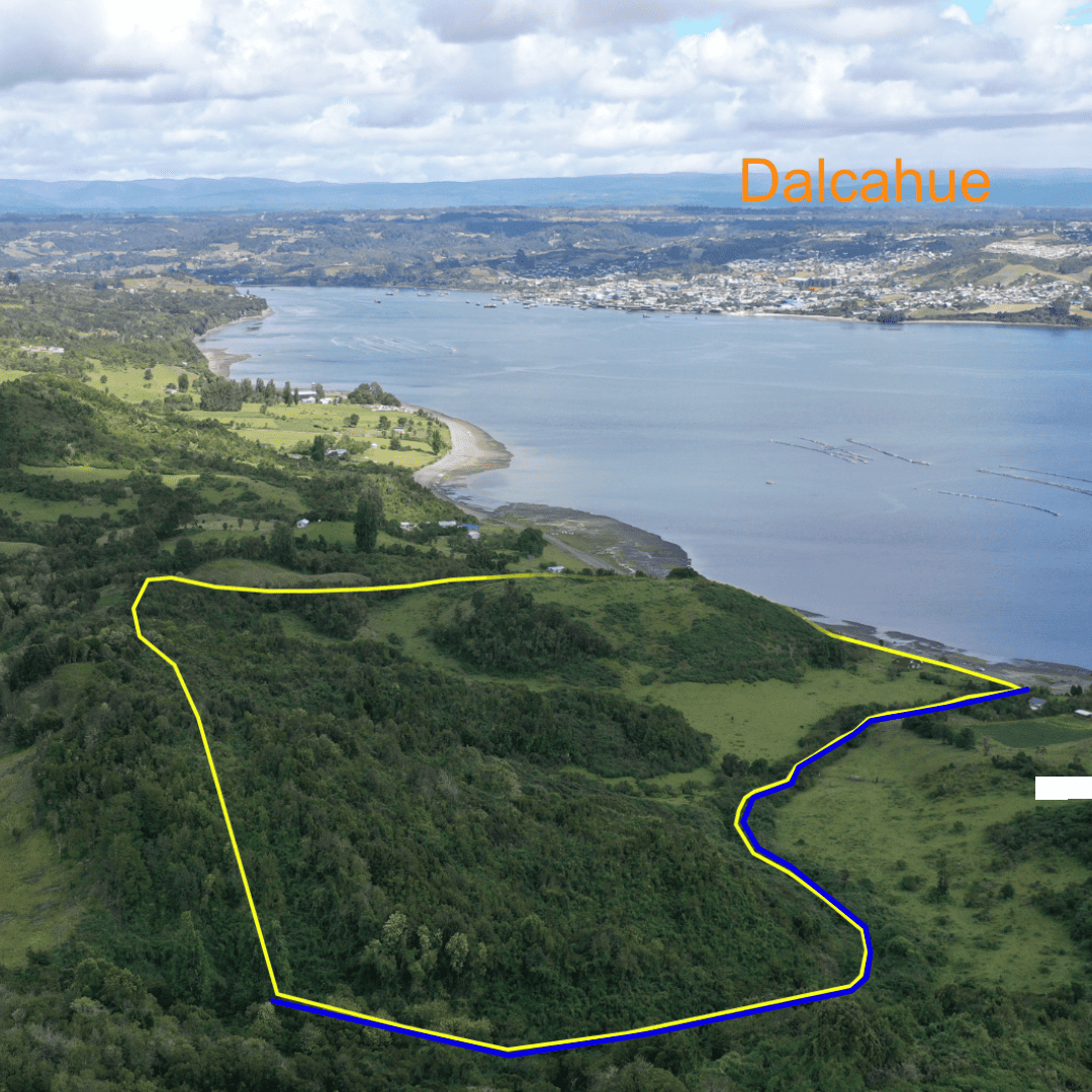 🌿🌊 ¡Oferta Exclusiva! 12,75 Hectáreas Frente al Mar en San Javier, Chiloé – ¡Oportunidad Irrepetible! 🌊🌿