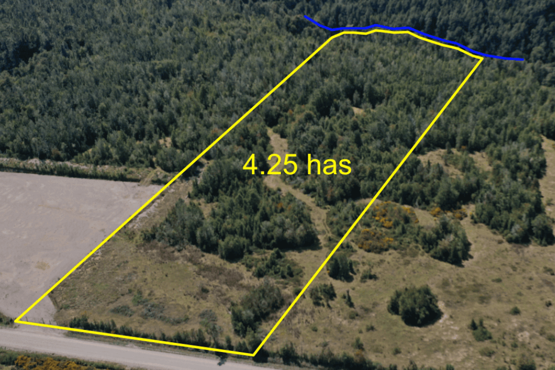 🏡 ¡Oportunidad Única: Parcela de 4.25 Hectáreas en Piruquina, Dalcahue! 🌿