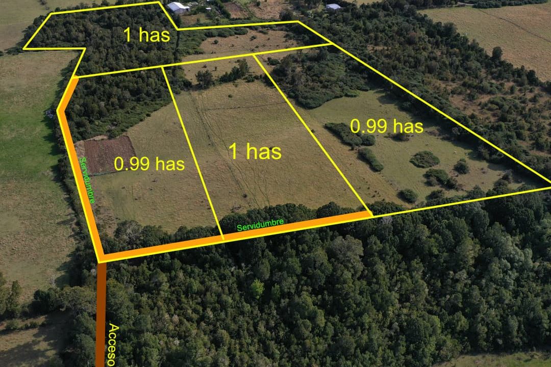 🌿🏡 ¡ PARCELAS EN PALQUI! INVERSIÓN SEGURA EN CURACO DE VÉLEZ 🏡🌿
