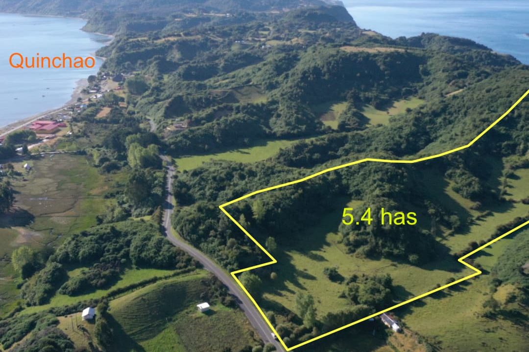 Oportunidad Única: 7 Razones para Invertir en Propiedad de 5.4 Has en Quinchao, Chiloé 🌳🏞️