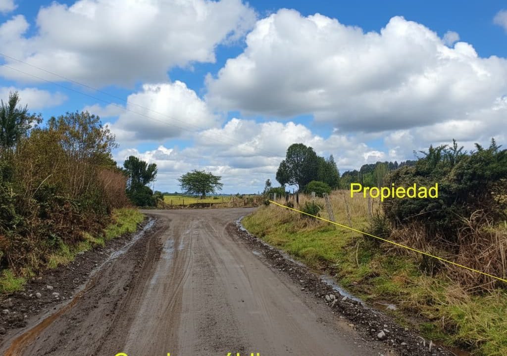 Gemini_Generated_Image_8cdequ8cdequ8cde