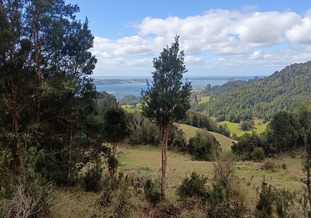 Gemini_Generated_Image_shz5x4shz5x4shz5