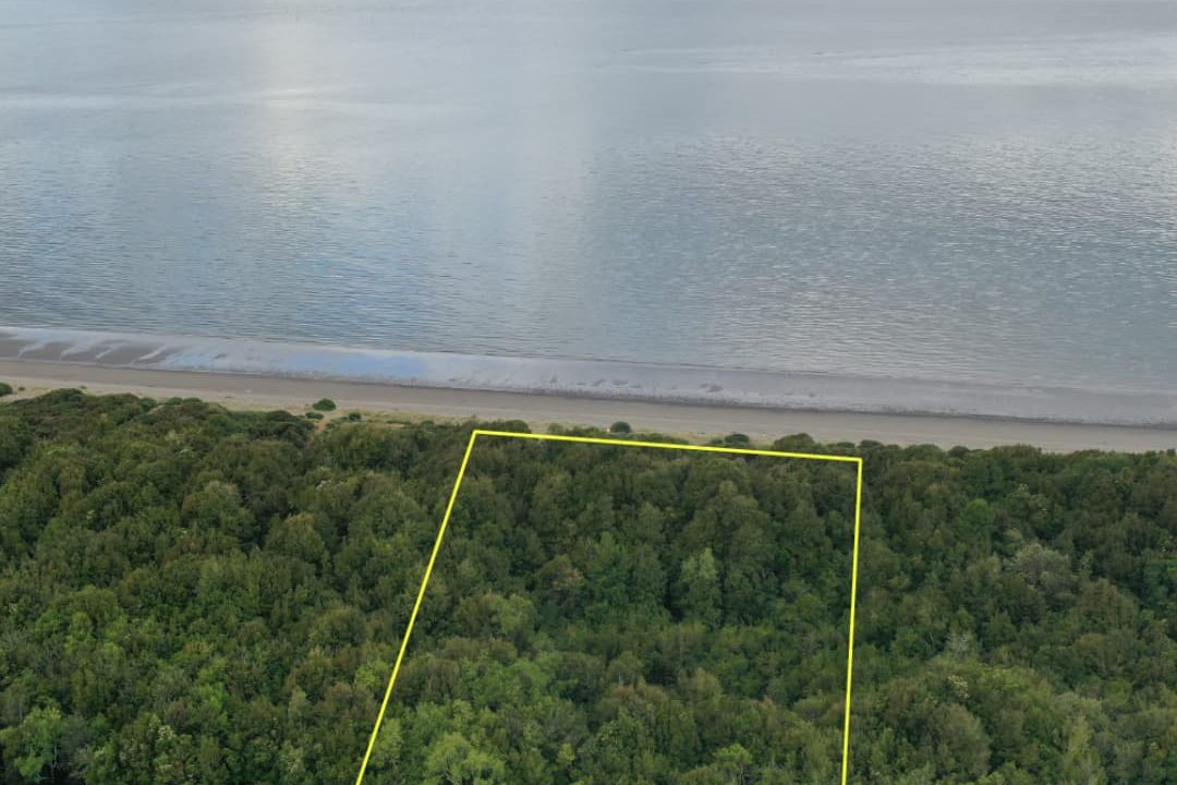 🏖️🌲 ¡OPORTUNIDAD ÚNICA EN LELBUN! PARCELA DE 0.5 HECTÁREAS CON FRENTE DE PLAYA - $65.000.000 🌲🏖️
