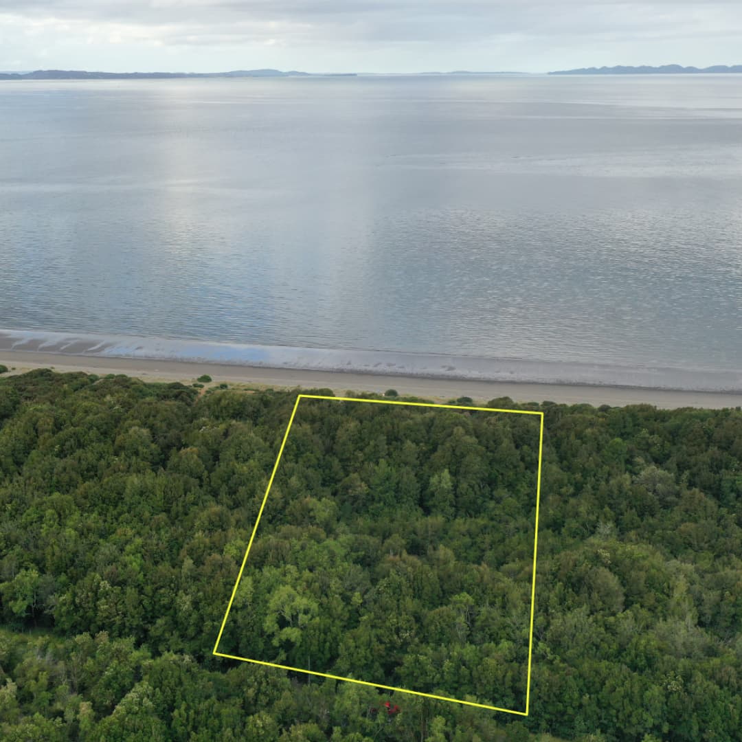 🏖️🌲 ¡OPORTUNIDAD ÚNICA EN LELBUN! PARCELA DE 0.5 HECTÁREAS CON FRENTE DE PLAYA – $65.000.000 🌲🏖️