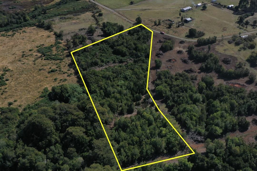 cl11