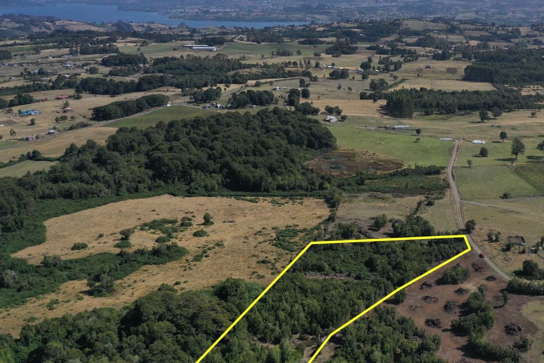 🌲 ¡TERRENO DE 1.5 HECTÁREAS EN TEY, CASTRO! BOSQUE NATIVO Y TOPOGRAFÍA SEMIPLANA - $80.000.000 🌲