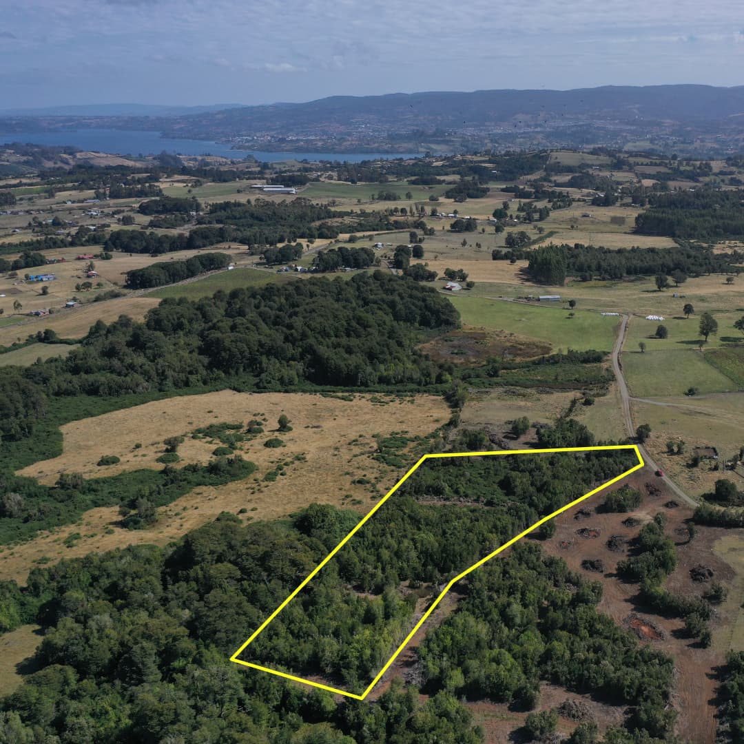 🌲 ¡TERRENO DE 1.5 HECTÁREAS EN TEY, CASTRO! BOSQUE NATIVO Y TOPOGRAFÍA SEMIPLANA – $80.000.000 🌲