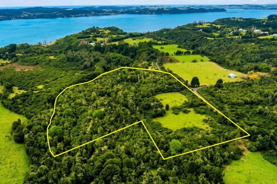 Oportunidad Única: Campo en Venta en San Javier Curaco de Vélez Chiloé – 3,5 Ha