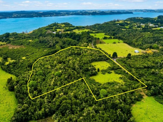 Oportunidad Única: Campo en Venta en San Javier Curaco de Vélez Chiloé – 3,5 Ha