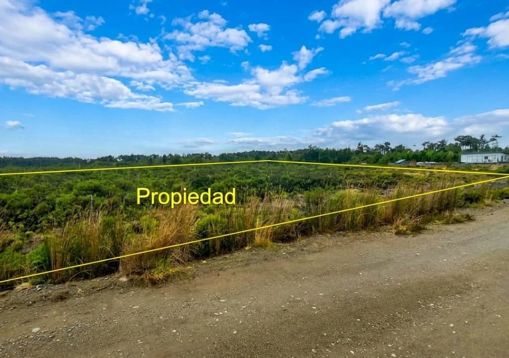 Professional_real_estate_photography_enhancement_o-1782238160515