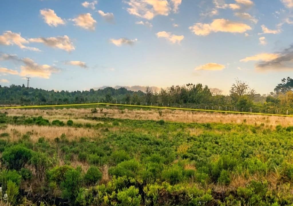 Professional_real_estate_photography_enhancement_o-1782238164663